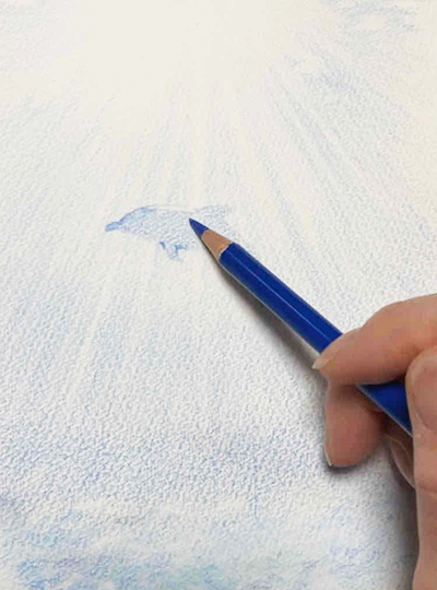 色鉛筆画イルカの絵