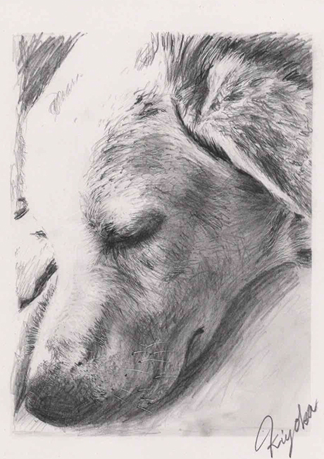 さくらちゃんの絵